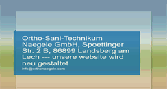 Desktop Screenshot of orthonaegele.com